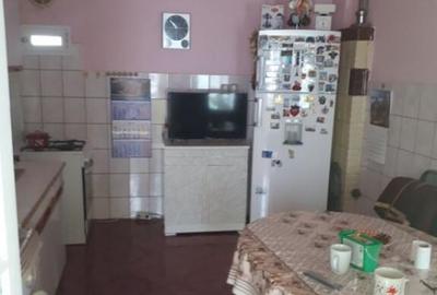 Casă cu 7 camere cu Teren 450 Mp în Delfinariu - 3