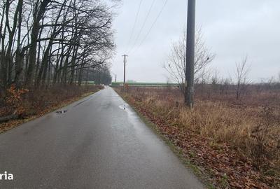 Spațiu comercial, în Corbeanca - 15