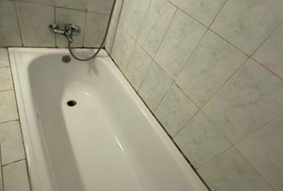 Apartament de vânzare Șoseaua Giurgiului 164 2 camere și 2 balcoane - 5