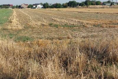 Teren de 5000 mp, în Vârteju