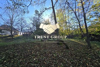 Casa S+P TEREN 1508mp Casa S+P TEREN 1508mp - 13