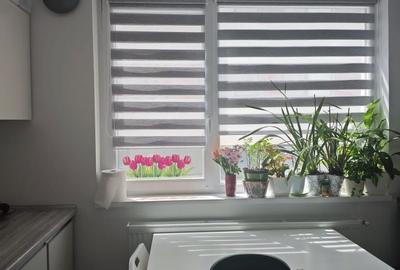 Apartament cu 2 camere decomandat în Olteni - 1