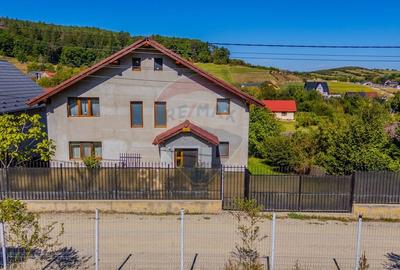 Casă individuală cu 8 camere cu Garaj în Colonia 1 Mai - 21