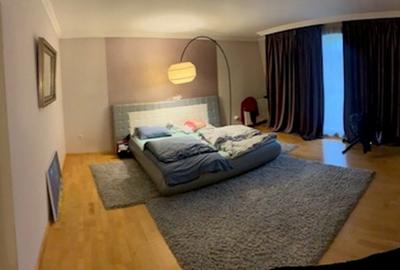 Duplex cu 10 camere cu Canalizare în Săsar - 17