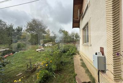 Casă cu 3 camere cu Teren 3088 Mp în Viile Satu Mare - 9