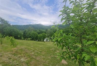 Refugiu idilic cu oglinda de apa, panorama montana, Glajerie/Rasnov, ideal mini - 27