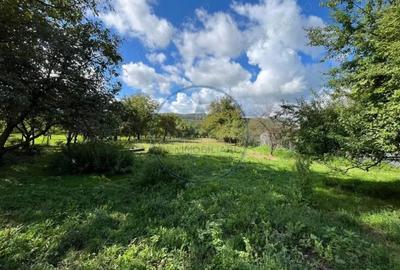 2 case + teren generos, in Nimigea de Sus - 8