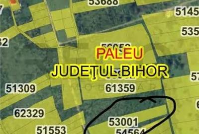 Teren de 6178 mp, în Paleu - 1