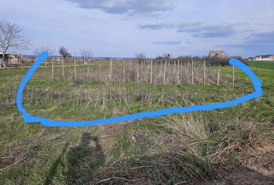 Teren de 1000 mp, în Enoșești - 4
