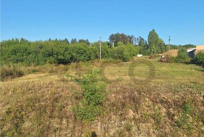 Reco, Parcel? de teren suprafata mare Alesd - 4