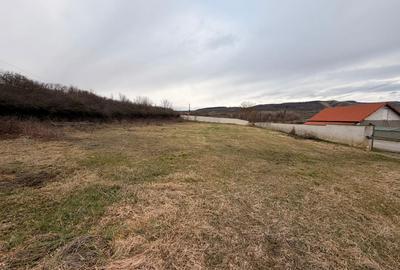 Teren de 1863 mp, în Vest - 5