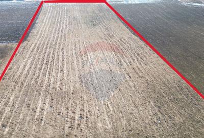 Teren pentru cabana 7.000mp in Hoghilag, Taramul Tubero... - 2