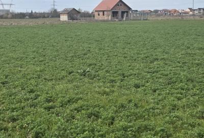 Spațiu comercial, în Dacia - 7