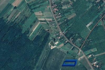 Teren de 6200 mp, în Ardud - 14