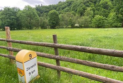 Plaiul Foii, 2.750 mp teren intravilan in zona pitoreasca. - 4