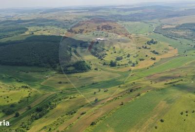 Spațiu comercial, în Zlagna - 2