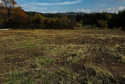 Spațiu comercial, în Vlădești