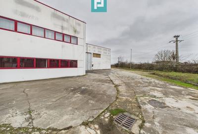 Hală de producție, cu birouri și teren, în Sebiș - 45
