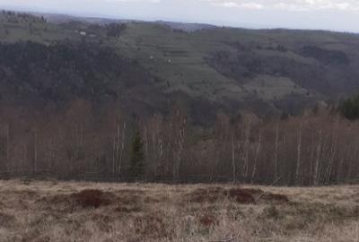 Teren de 4460 mp, în Măguri