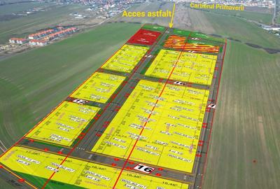 Teren Construcții intravilan de 505 mp, în Săcălaz - 3