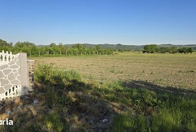 Teren de 2900 mp, în Ciceu-Mihăiești - 8