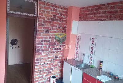 Apartament cu 3 camere decomandat în Dristor - 8