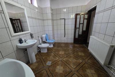 Casa P+1+M, amprenta 160 m, teren 950 mp, Maracineni, DN-E85 - 11