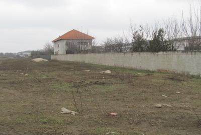 Teren Construcții intravilan de 8245 mp, în Bragadiru - 4
