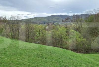 Teren de 12500 mp, în Central - 6