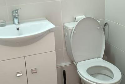 Garsonieră în Astra - 2