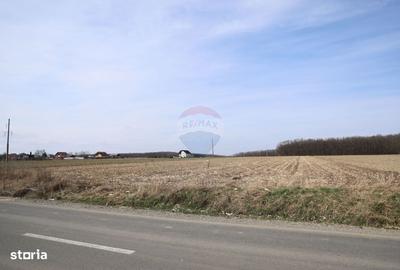 Spațiu comercial, în Bosanci - 2