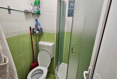 Apartament cu 3 camere semidecomandat în Drumul Sării - 10