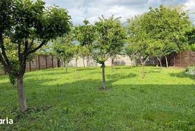 Casă cu 4 camere cu Teren 460 Mp în Snagov - 9