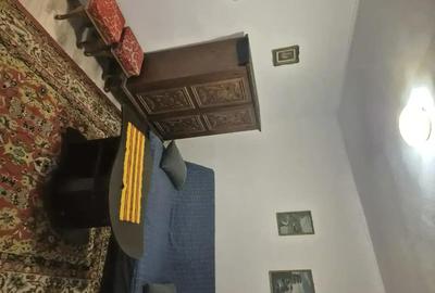 Apartament cu 2 camere semidecomandat, mobilat în Parcul Carol - 2