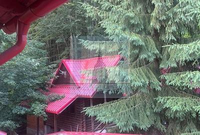 Casa/Vila de vanzare in Predeal - 17