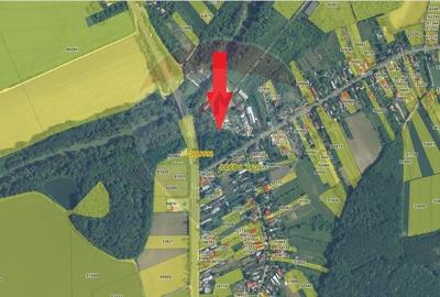 Teren Constructii, Intravilan vanzare, in Ilfov, Ciolpani - 2