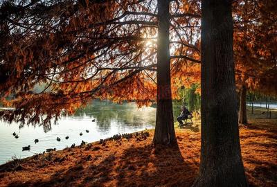 Parcul Carol - Tineretului - 2 camere si 40mp curte - 2