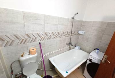 Apartament 1 camera, decomandat, 40 mp, Nicolina II - 6