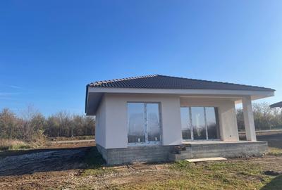 Casă individuală de vânzare – Petrovaselo (la cheie)-comision 0% - 13