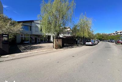 Spațiu comercial, de 76 mp, în Tudor Vladimirescu - 12