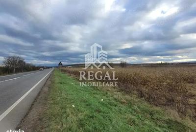 Teren de 3800 mp, în Sântandrei - 1