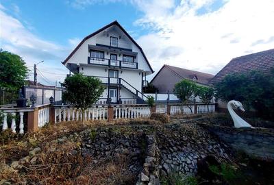 Casa cu 2 etaje si hala mare in Ineu de Cris - 5