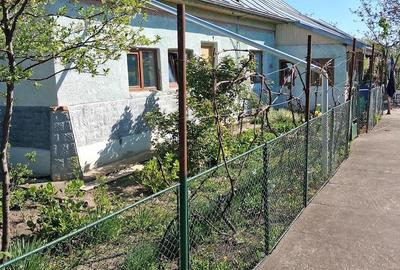 Casă cu Teren 1800 Mp în Filipeștii de Târg - 3