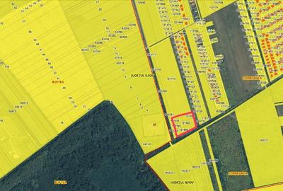Teren intravilan 4 hectare, oportunitate de dezvoltare rezidențială în Corbeanca - 1