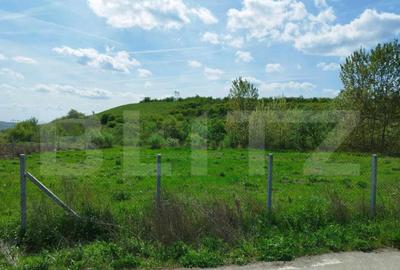 Teren 31 ari, zona linistita - 1