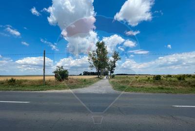 Teren investitie 4.350 mp | Balta Pasarea, langa Bucure?ti Teren investitie 4.350 mp | Balta Pasarea, langa Bucure?ti - 8