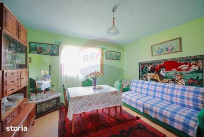 Casă cu 5 camere cu Teren 55706 Mp în Șinteu - 8