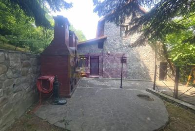 Vila de vanzare in Campina - Zona Lunca Mare - 44