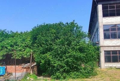 Spațiu comercial, de 6,800 mp, în Central