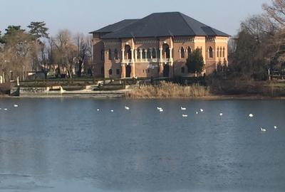 Mogosoaia,vila robusta cu vedere spectaculoasa catre lac,palat,parc,1750mp teren - 20